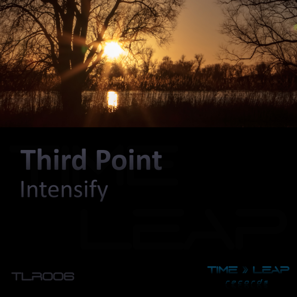 Third Point - Intensify