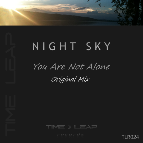 Night Sky - You Are Not Alone